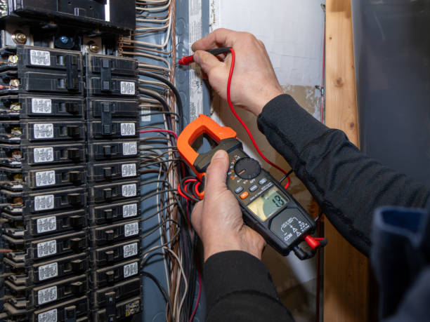 Best Electrical System Inspection  in Chaparral, NM